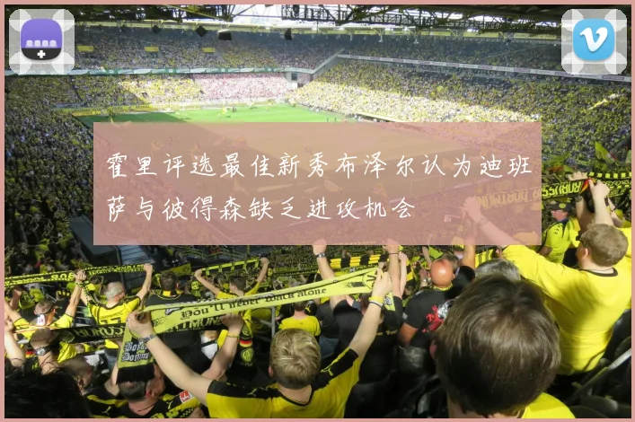 霍里评选最佳新秀布泽尔认为迪班萨与彼得森缺乏进攻机会